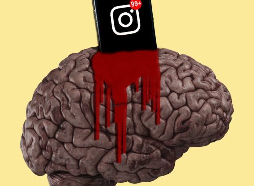 سائنس کی روشنی میں “برین راٹ” کی حقیقت